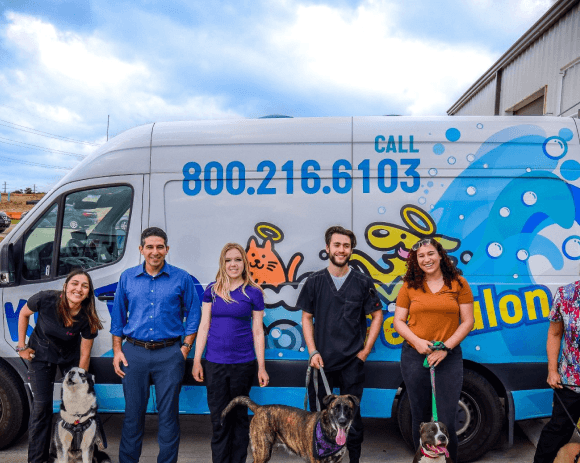 Five people with dogs standing in front of grooming van